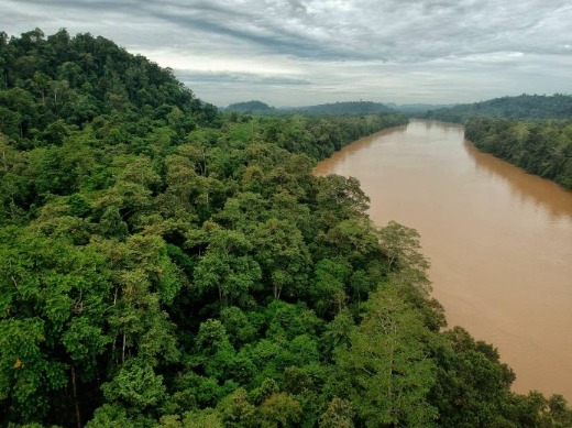 Lower Kinabatangan Wildlife Sanctuary.jpg